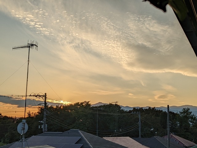 PXL_20221030_072809541.jpg