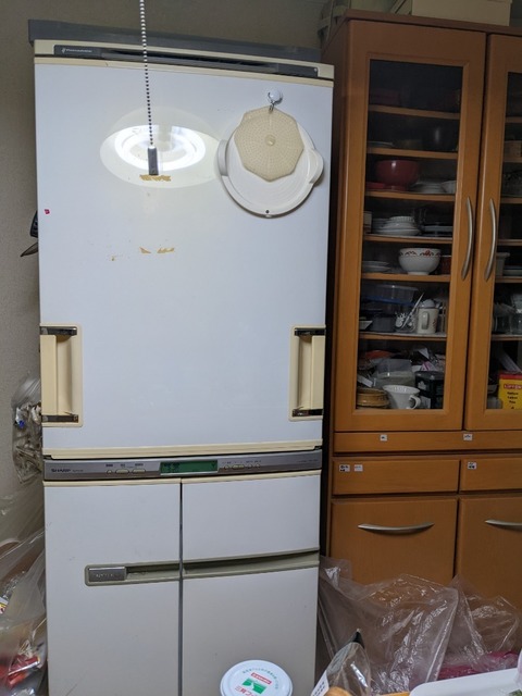 PXL_20221201_071238864.jpg