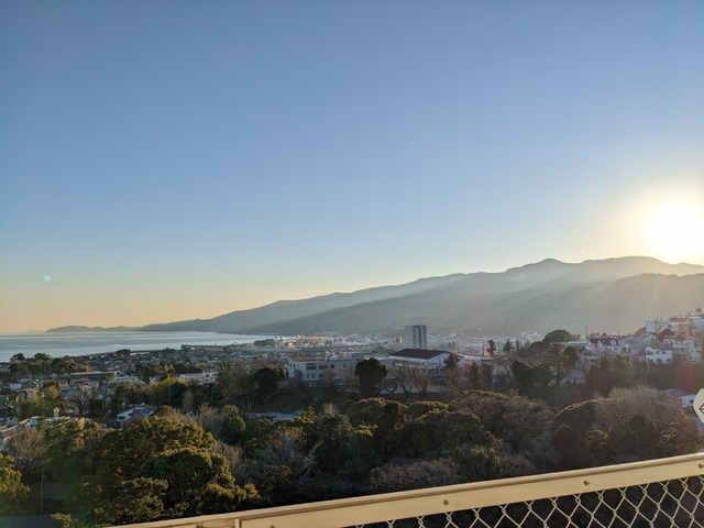 PXL_20230112_070128449.jpg