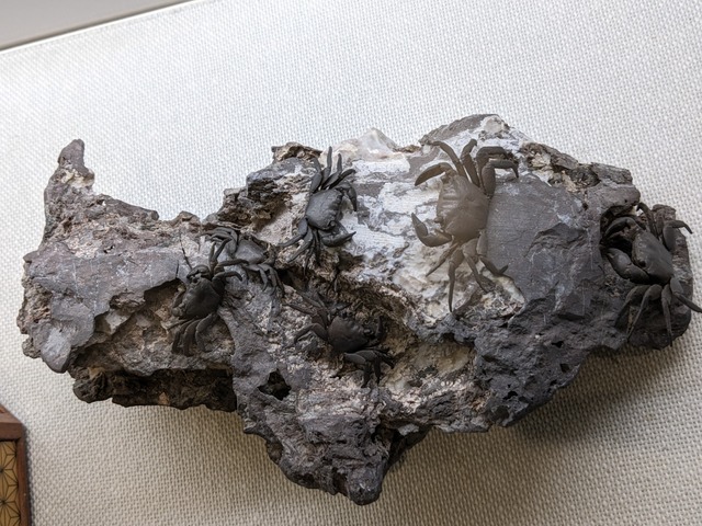 PXL_20230112_073639627.jpg