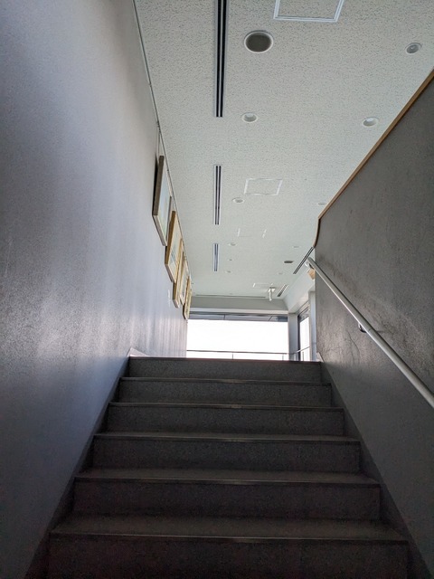 PXL_20230202_004346430.jpg
