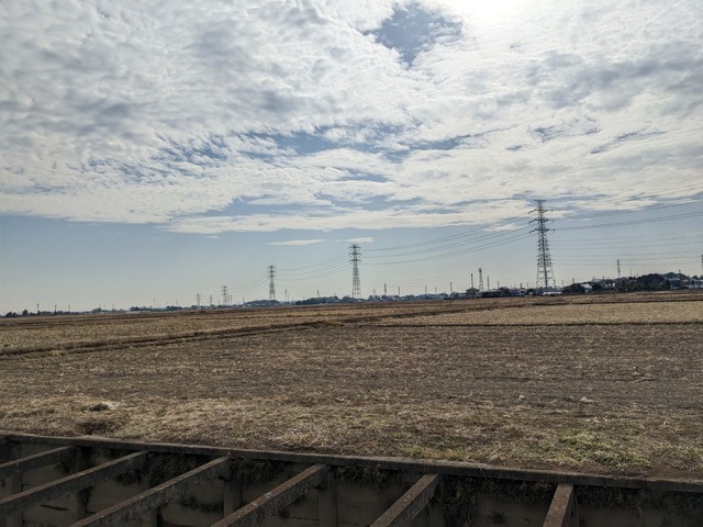 PXL_20230218_045030856.jpg