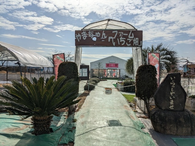 PXL_20230218_050224489.jpg