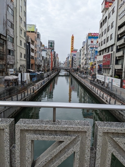 PXL_20230325_040341012.jpg