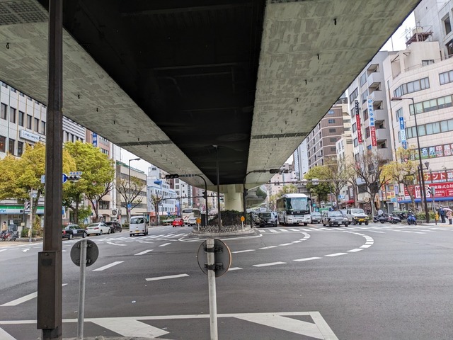 PXL_20230325_040929444.jpg