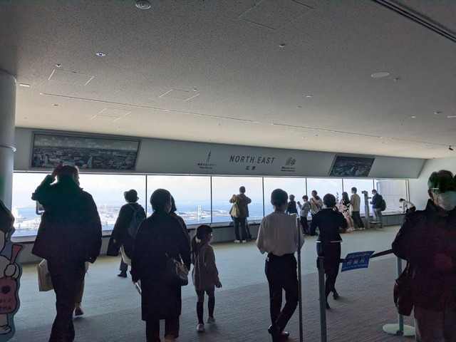 PXL_20230330_040619440.jpg