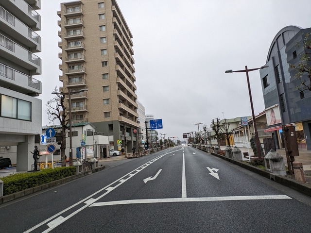 PXL_20240222_074434726.jpg