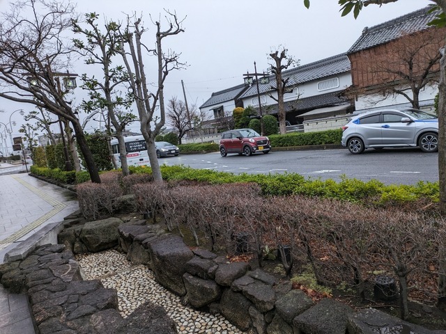 PXL_20240222_075435021.jpg