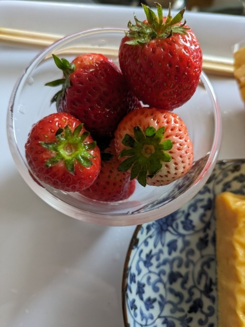 PXL_20240407_064611603.jpg