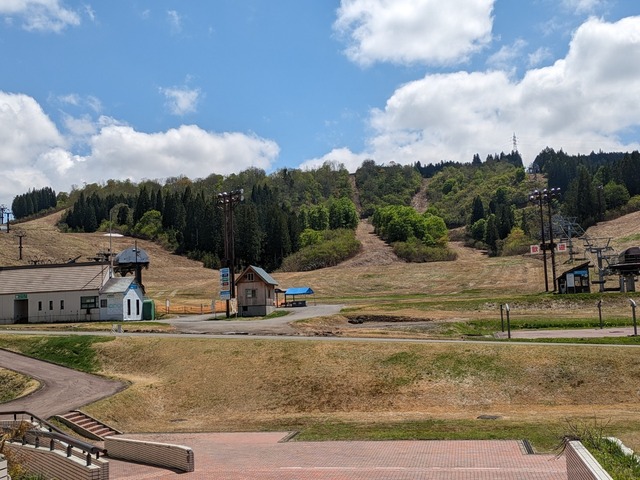 PXL_20240502_033750398.jpg