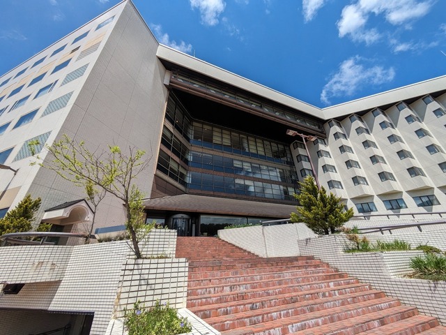 PXL_20240502_033824764.jpg