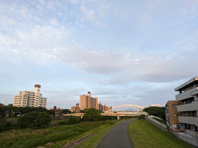 PXL_20240511_194832038.jpg