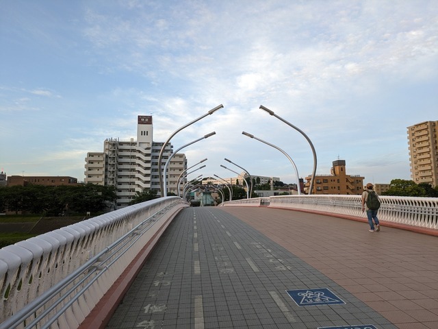PXL_20240511_195103317.jpg