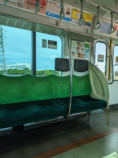 PXL_20240511_233750539.MP.jpg