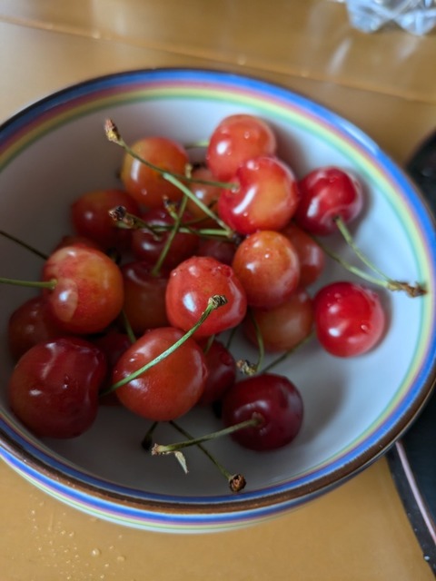 PXL_20240619_233028873.jpg