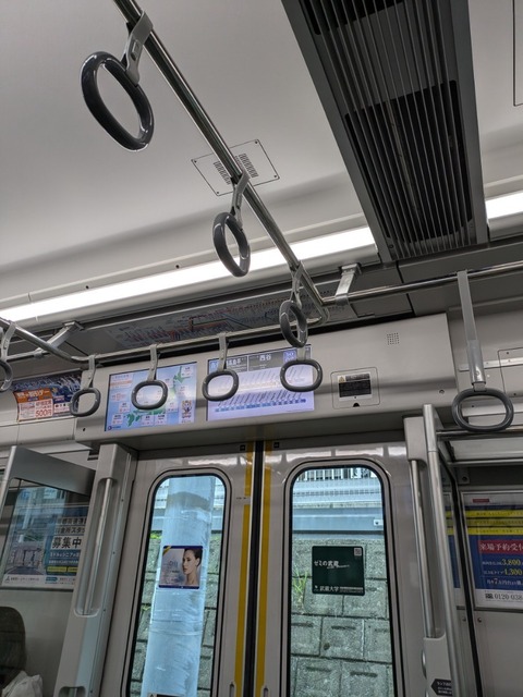 PXL_20240706_063108303.MP.jpg