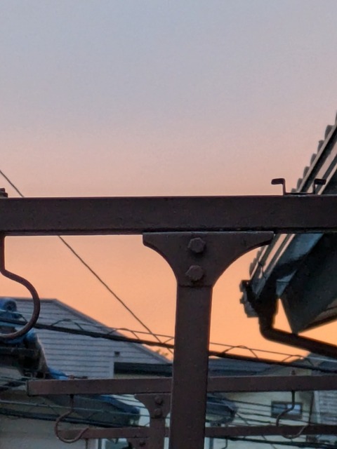 PXL_20240709_095439007.MP.jpg