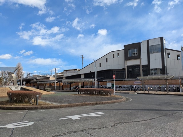 PXL_20250208_040720327.jpg