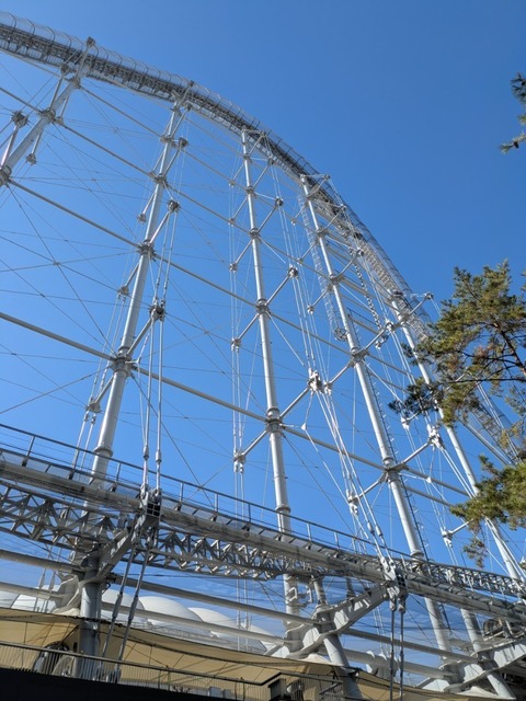 PXL_20250213_021032633.jpg