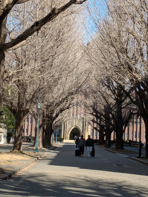 PXL_20250213_043239035.jpg