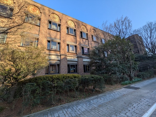 PXL_20250213_071153438.jpg